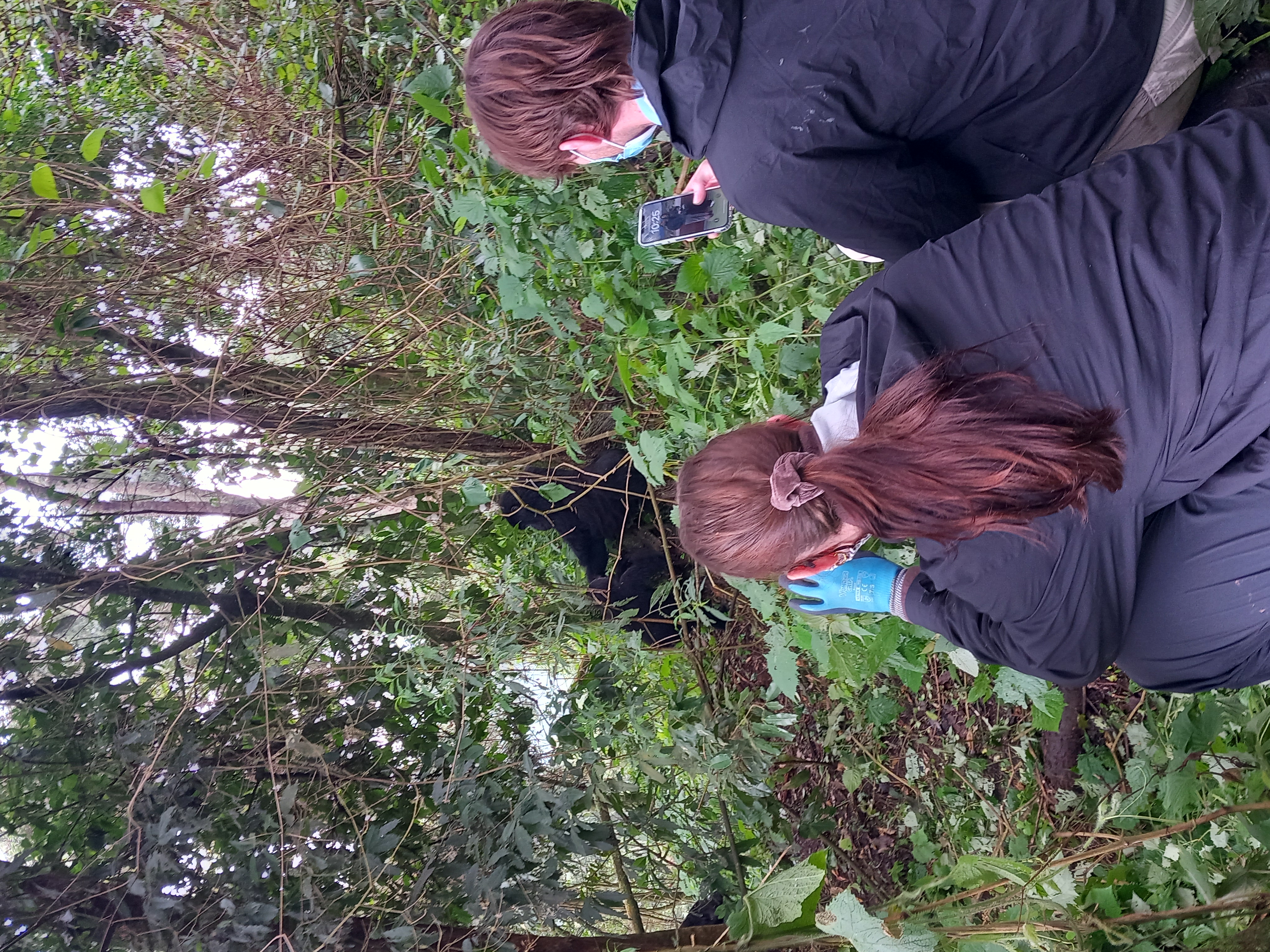 Gorilla Trekking in Rwanda and Uganda