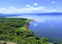 7 Days Best of Kenya Safari