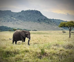 7 Days Best of Kenya Safari