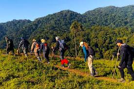 Uganda Hiking Safaris