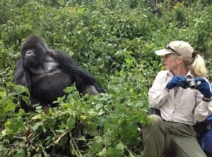 Rwanda Gorilla